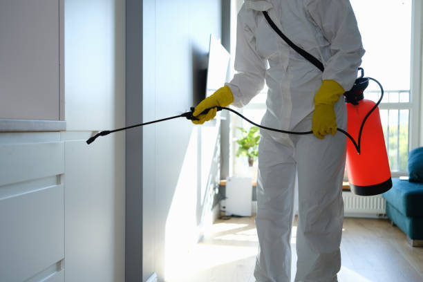 Best Mold Testing  in Branford Center, CT