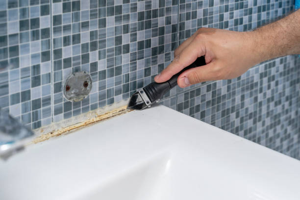 Best Mold Removal Specialists  in Branford Center, CT