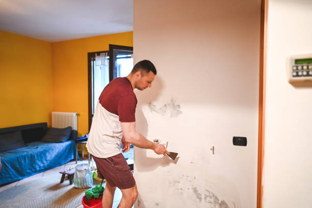 Best Emergency Mold Removal  in Branford Center, CT